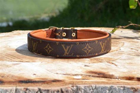 louis vuitton pet collar